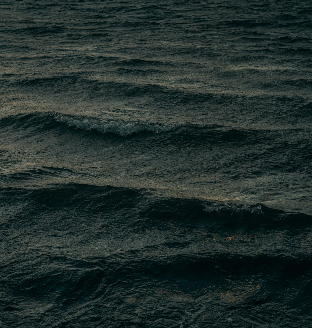 Tropical Cyclones: From Ocean Carbon Release to Potential Absorption by 2035 Amid Warming