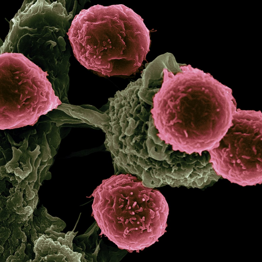 Breakthrough Research Hints at a Pill to Prevent the World's Deadliest Cancer